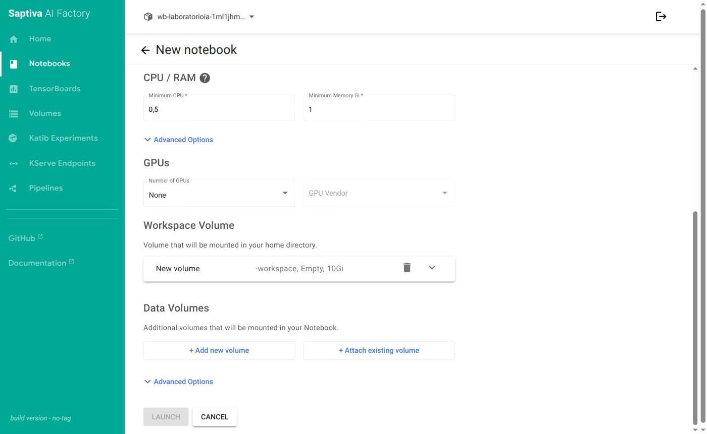 Parte baja del formulario: GPUs, Workspace Volume, Data Volumes y LAUNCH