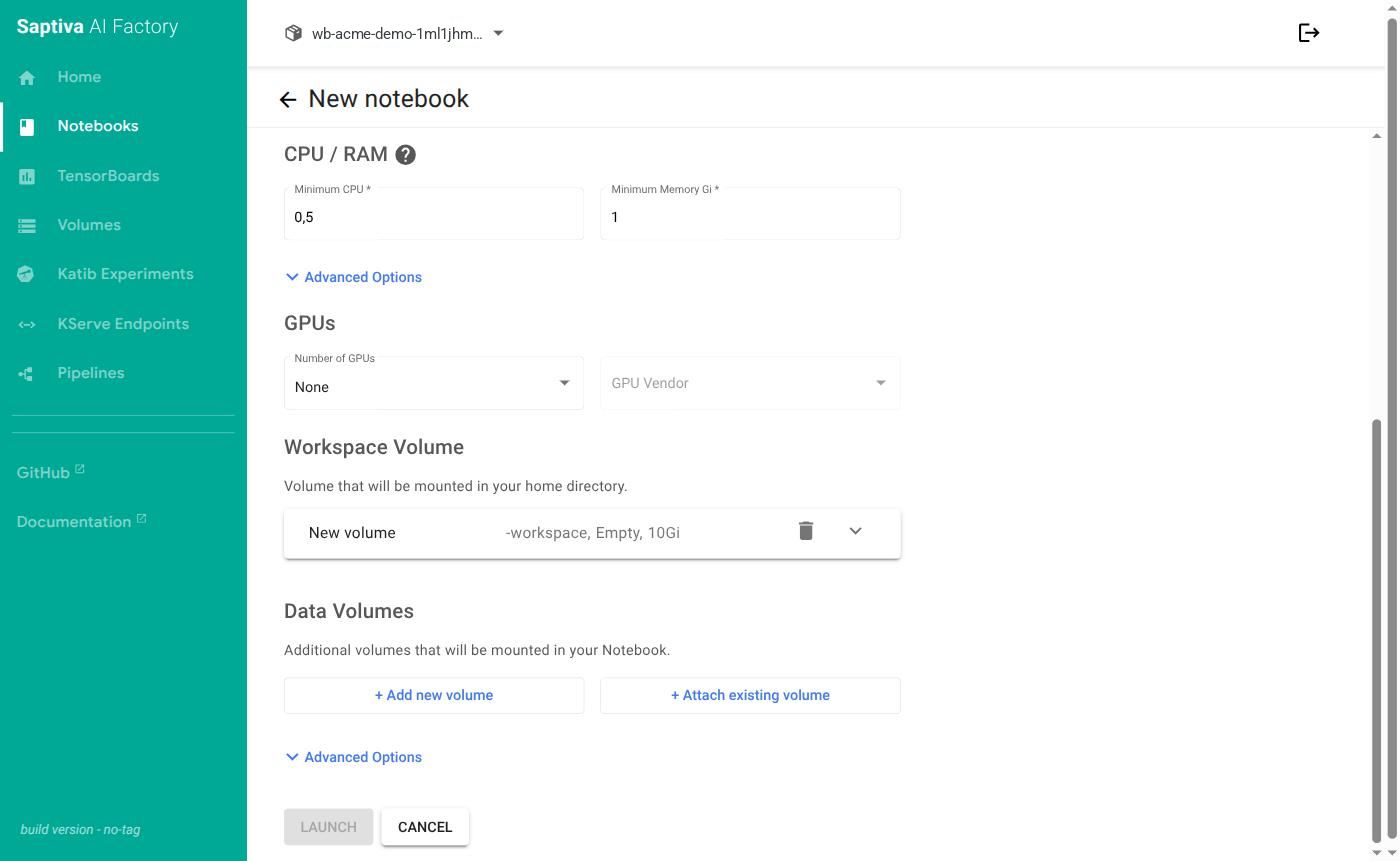 Parte baja del formulario: GPUs, Workspace Volume, Data Volumes y LAUNCH