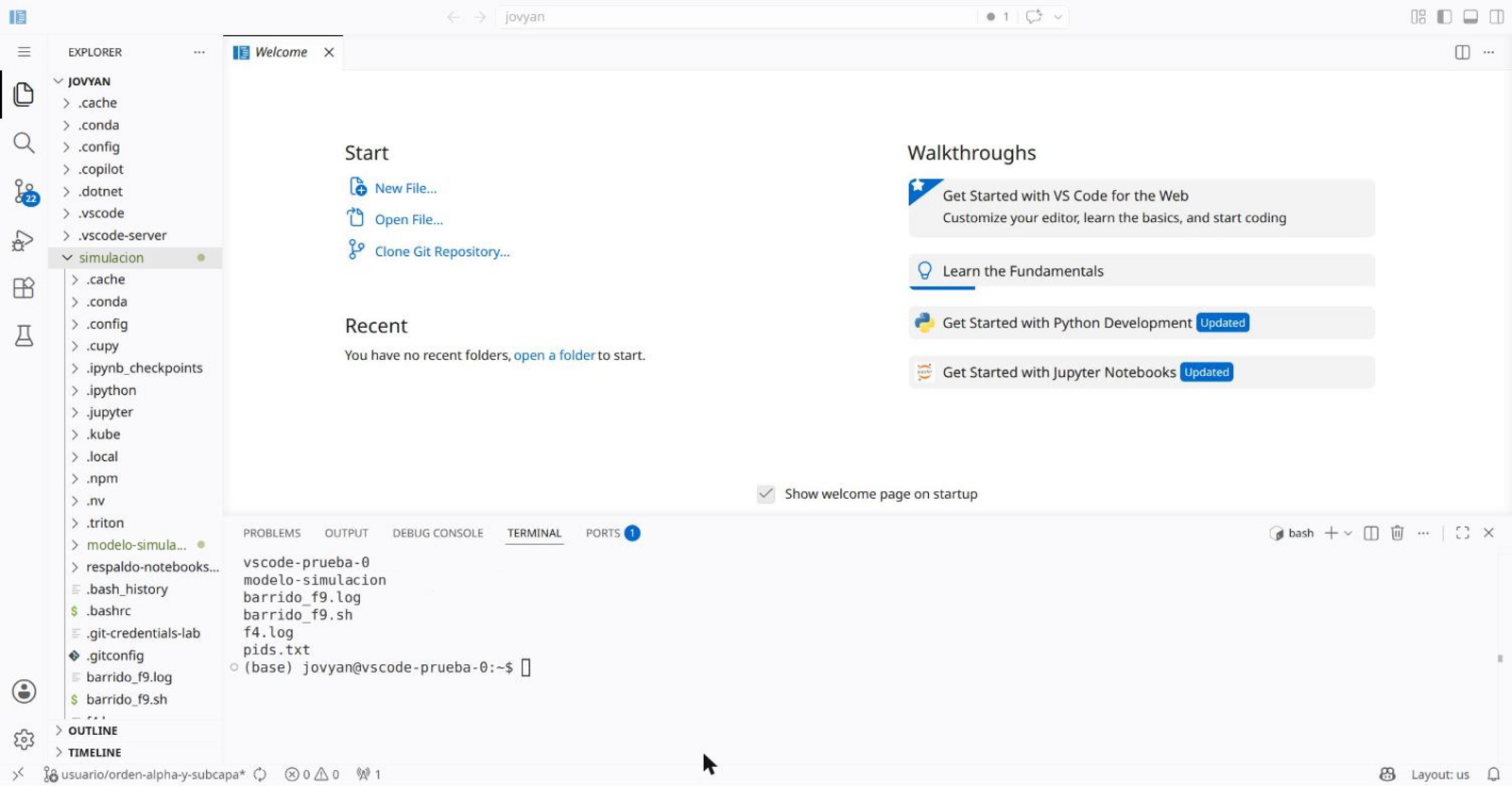 VS Code in the browser with the explorer and the integrated terminal open